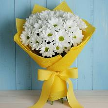 Букет Застенчивые лепестки в Санкт-Петербурге Букет цветов из:  Хризантемы в Санкт-Петербурге