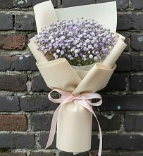 Букет Нежные чувства в Санкт-Петербурге Букет цветов из:  Гипсофила в Санкт-Петербурге