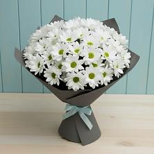 Букет белые хризантемы в Санкт-Петербурге Букет цветов из:  Хризантемы в Санкт-Петербурге