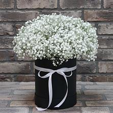 Композиция коробка гипсофил в Санкт-Петербурге Цветочная композиция из Гипсофила в шляпной коробке в Санкт-Петербурге